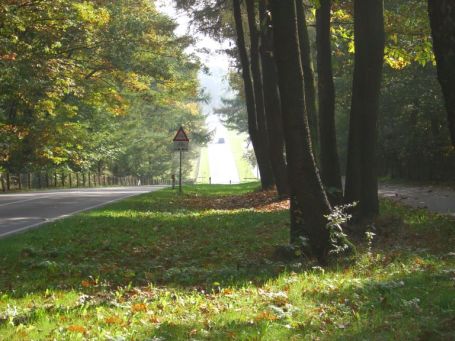 Groesbeek NL : Zevenheuvelenweg